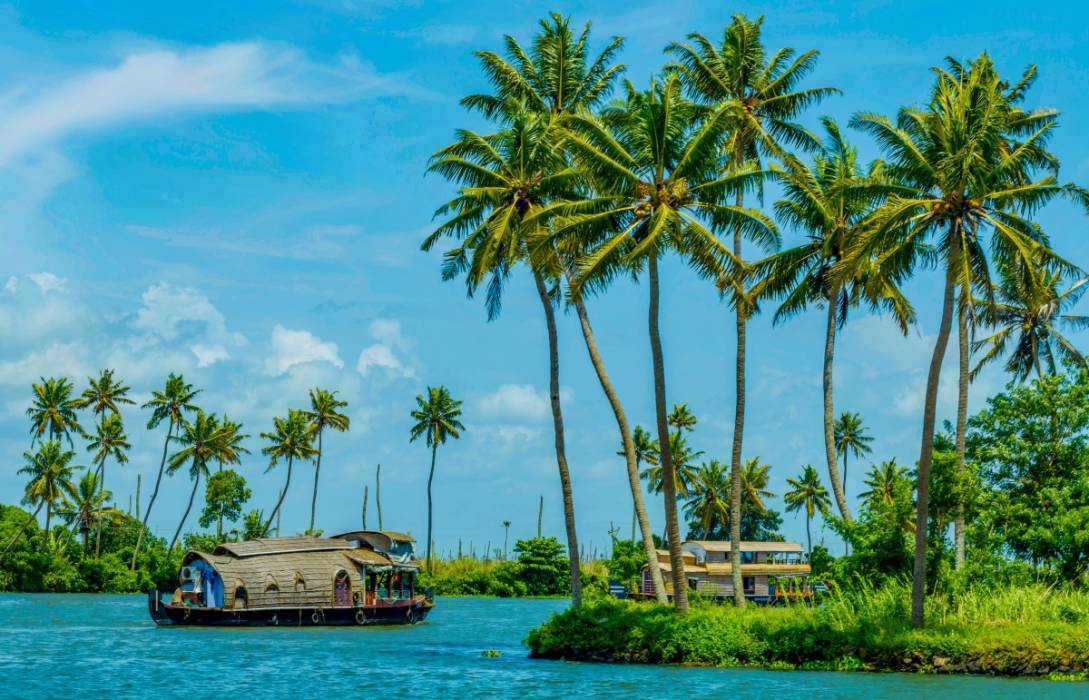 Kerala Honeymoon Tour From Cochin