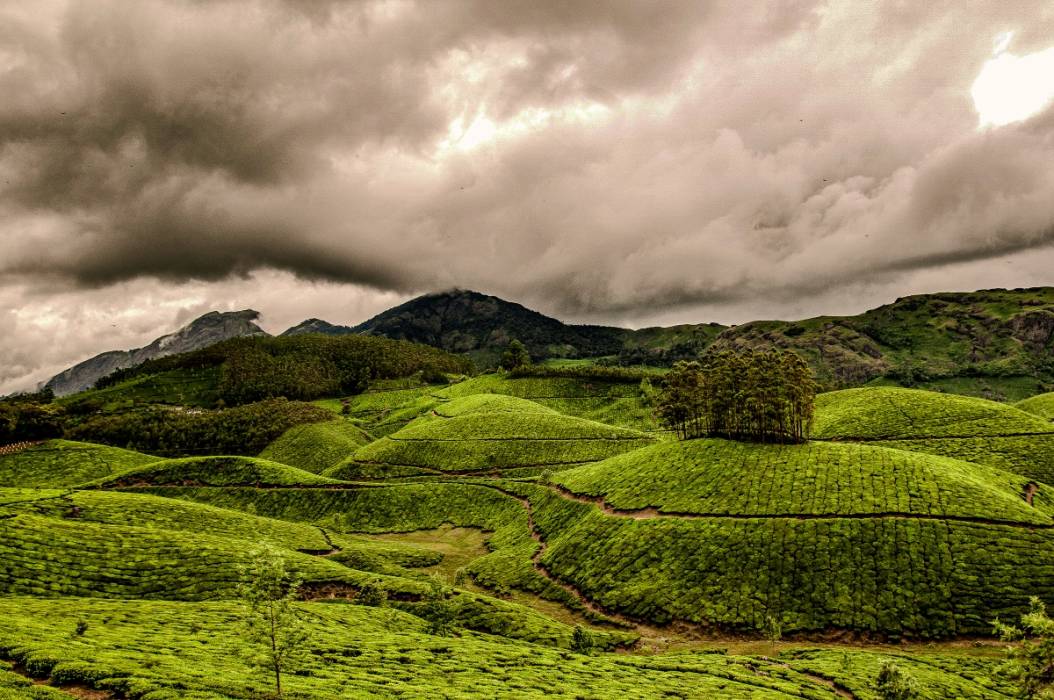 Offbeat Kerala Family Tour From Cochin