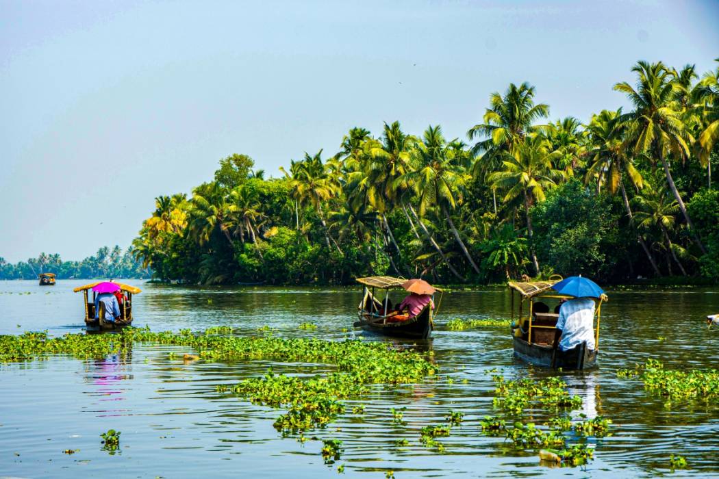 Beautiful Munnar Thekkady Alleppey Tour From Cochin