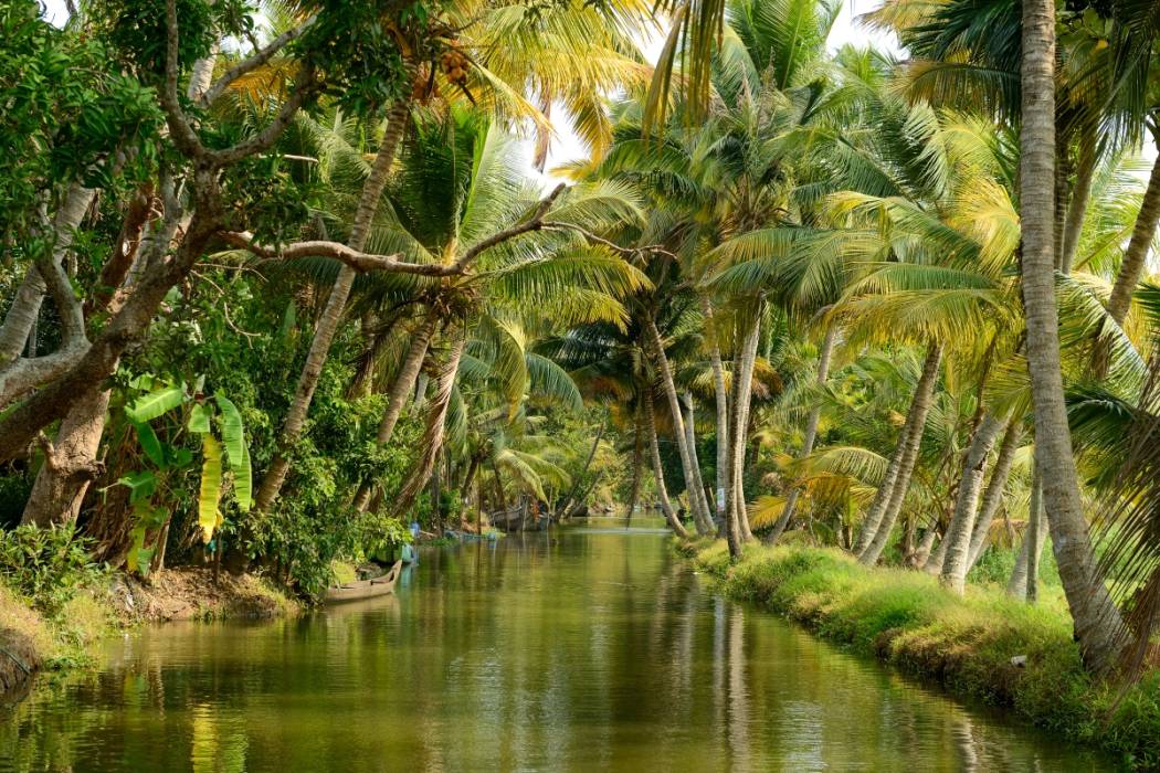 Incredible Kerala Backwaters Tour From Cochin